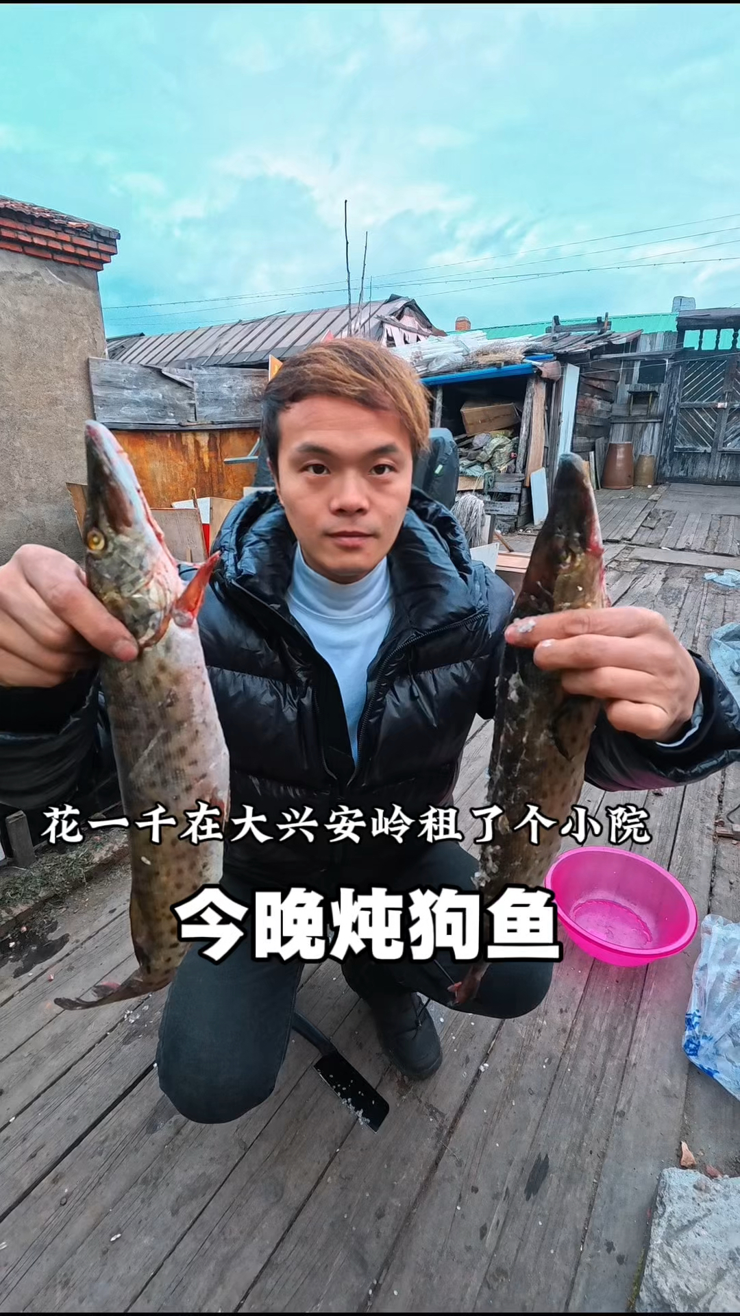 花一千在大兴安岭租了个小院,我也是好起来了,晚上炖狗鱼吃