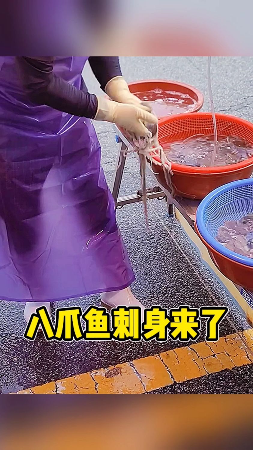 八爪鱼刺身来了呀
