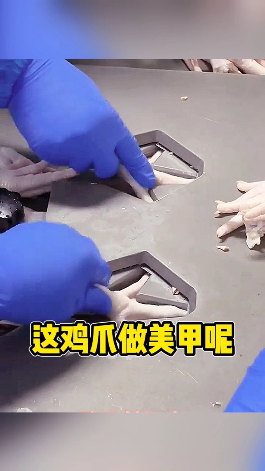 这鸡爪做美甲了呀