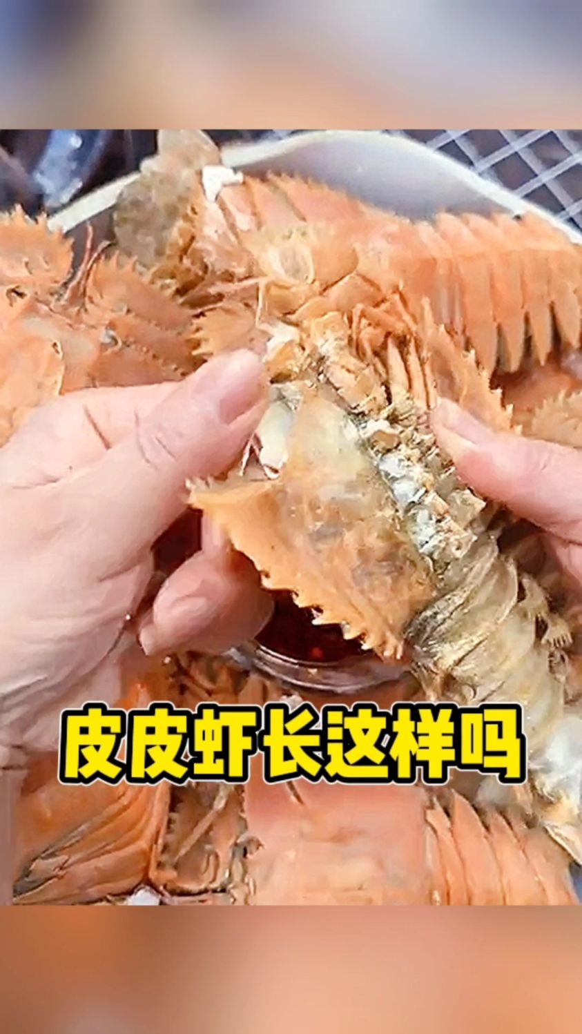 皮皮虾长这样的吗