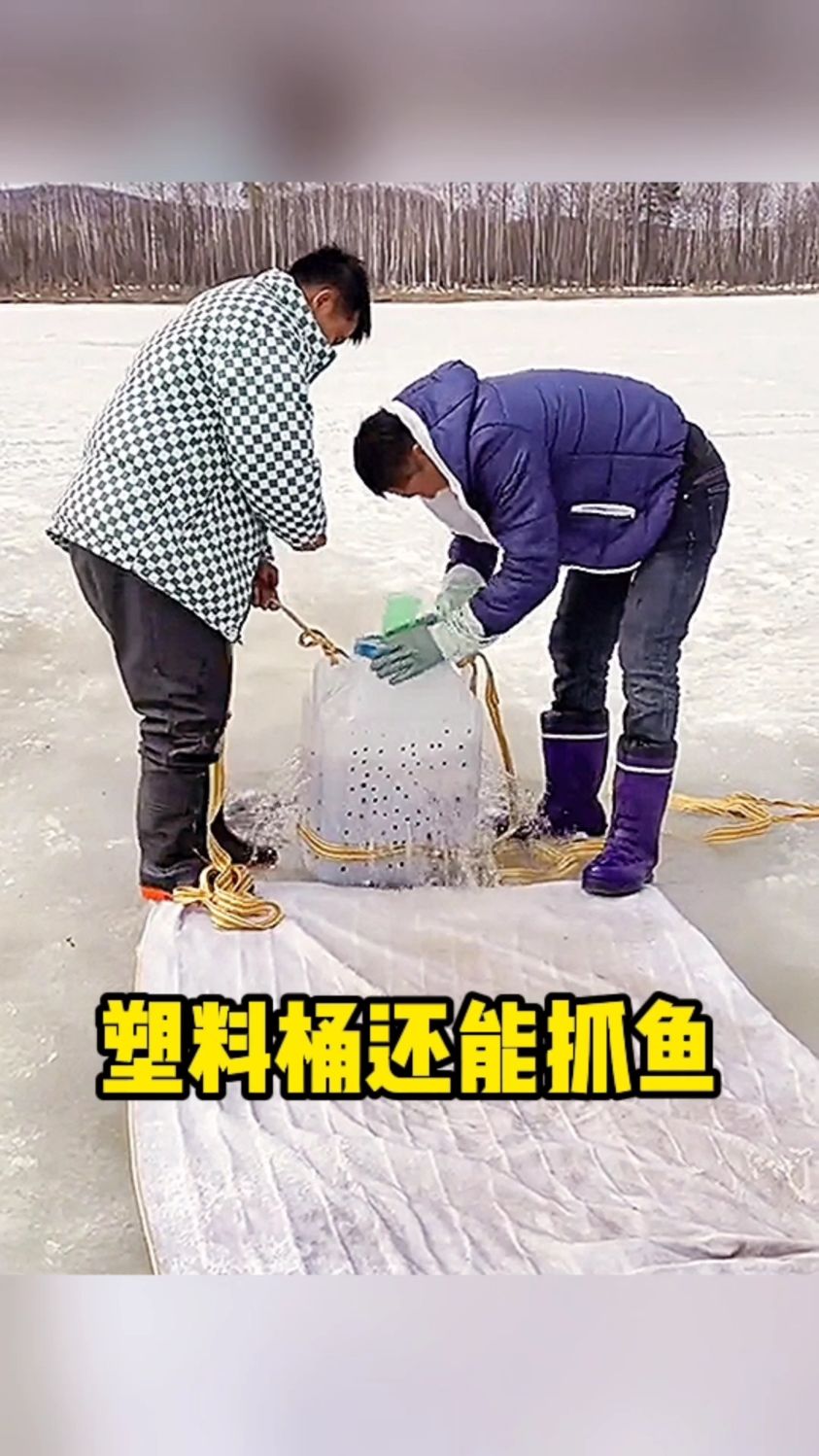 塑料桶还能抓鱼的