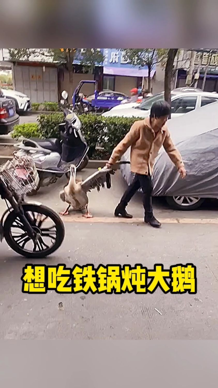 想吃铁锅炖大鹅的