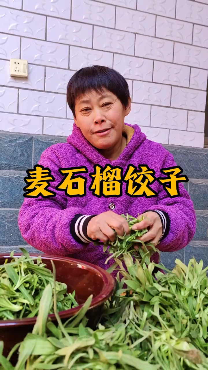 看俺妈包的麦石榴馅饺子 鲜味十足 吃起来真美味！你们最喜