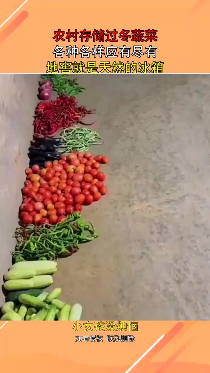 农村存储过冬蔬菜各种各样应有尽有地窖就是天然的冰箱