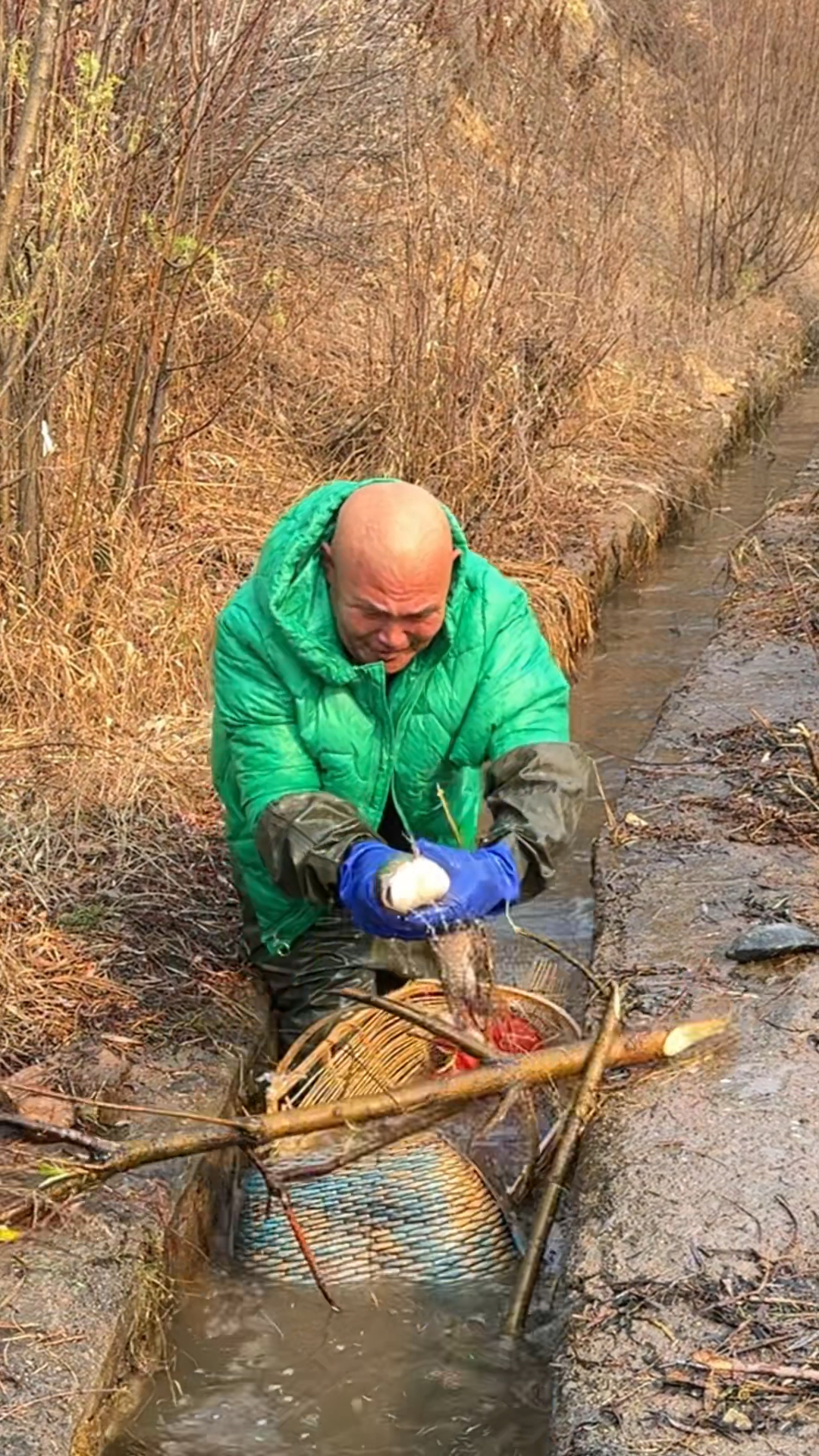 农村老哥在小水沟里抓上条三斤多的鱼