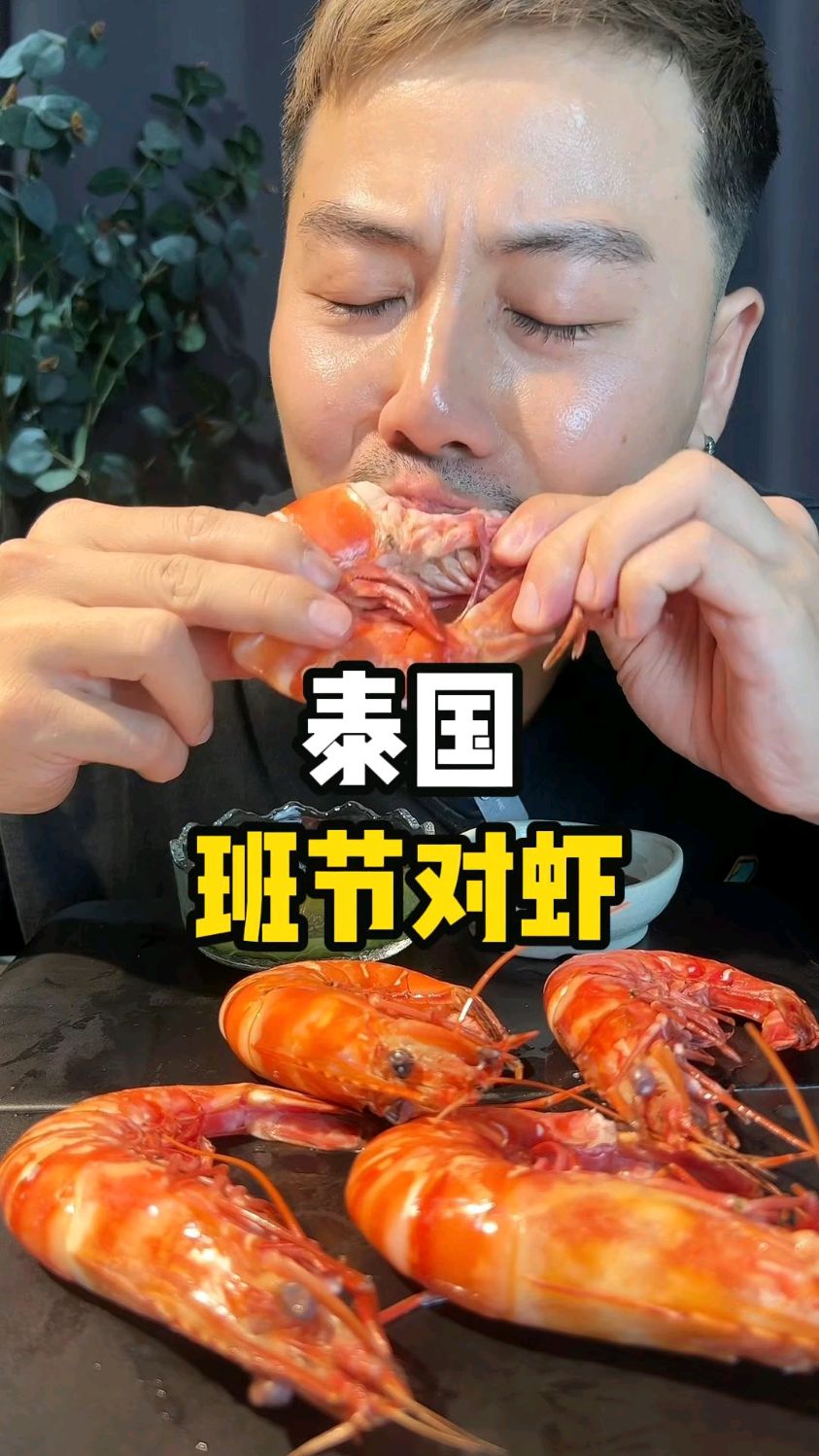 这里是泰国,当地人手里拿了一种特别大的虾,这种虾名叫虎虾!