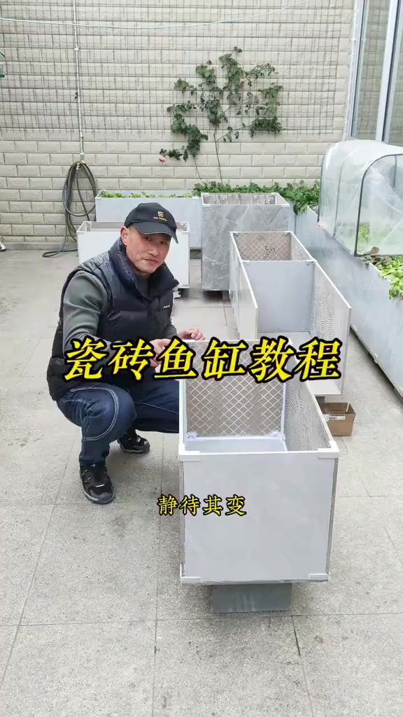 大家心心念念想要的瓷砖鱼缸的教程来了