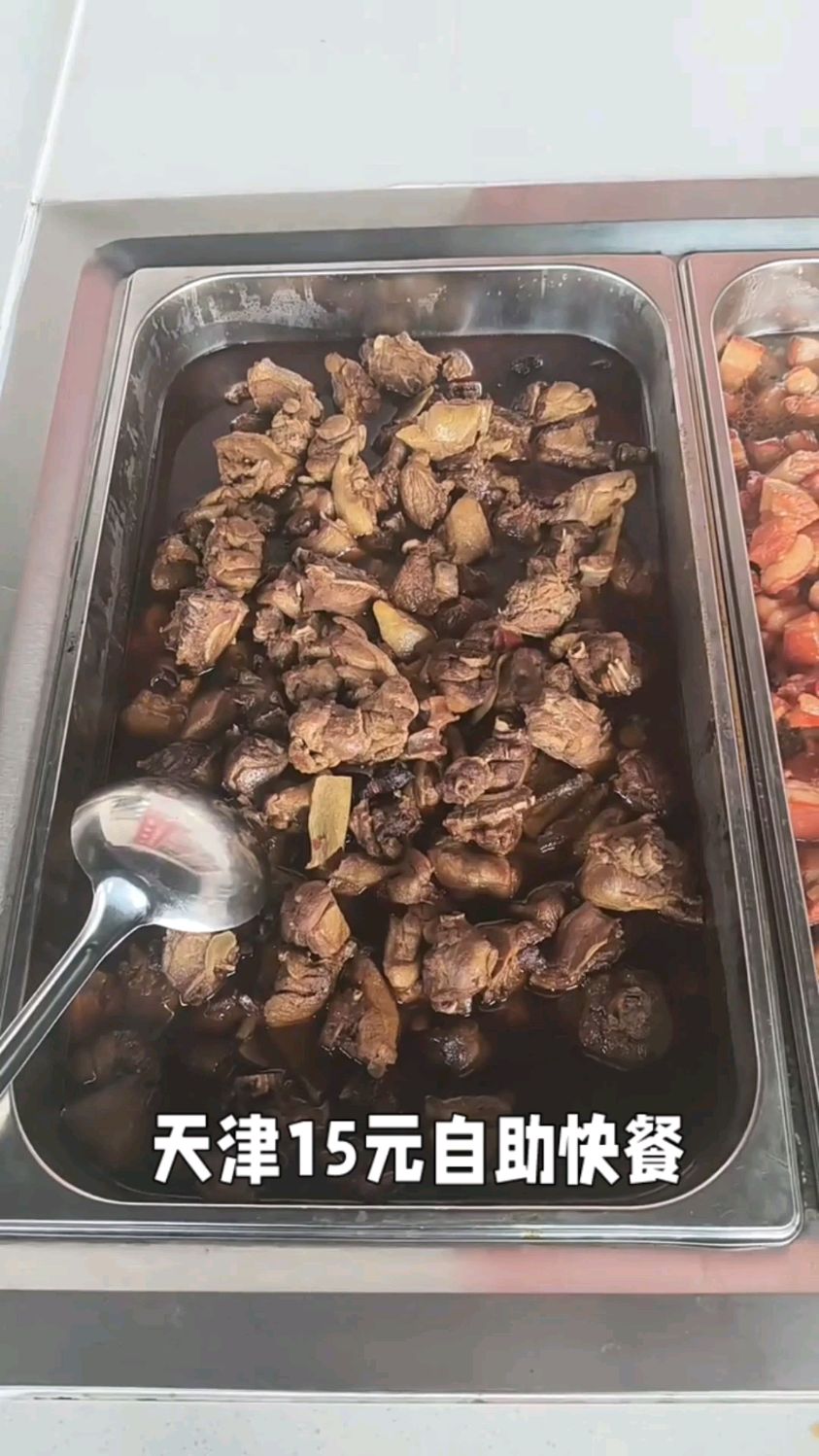 天津街头15元任吃的自助快餐,菜品多样有荤有素只要不浪费随便吃