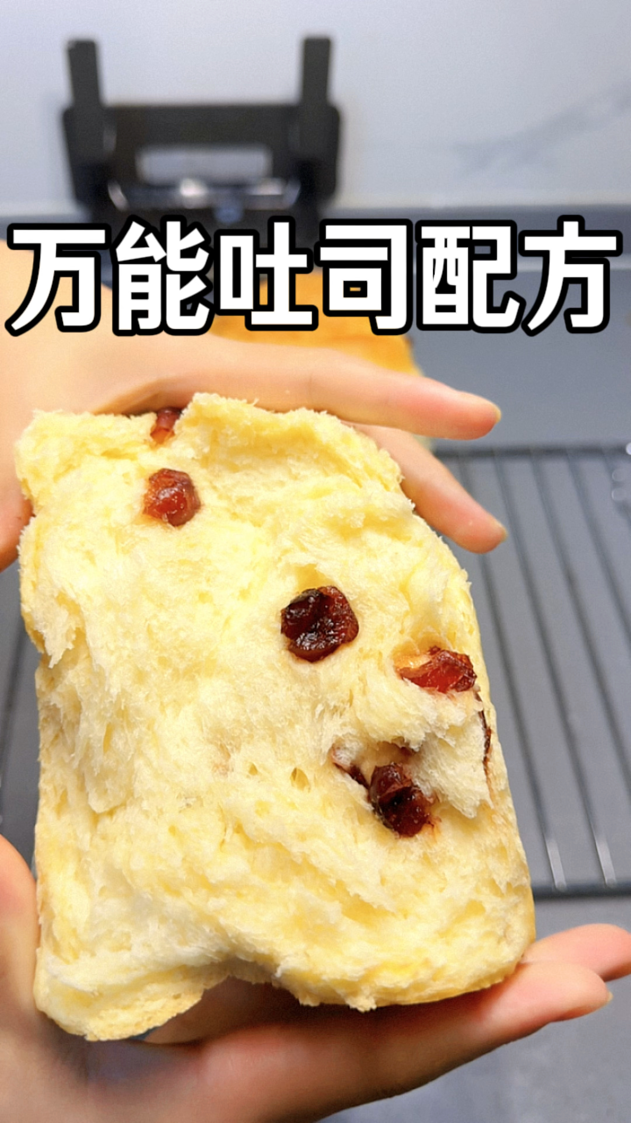 万能的吐司面包配方他来了，把自己喜欢的辅料加入面团里