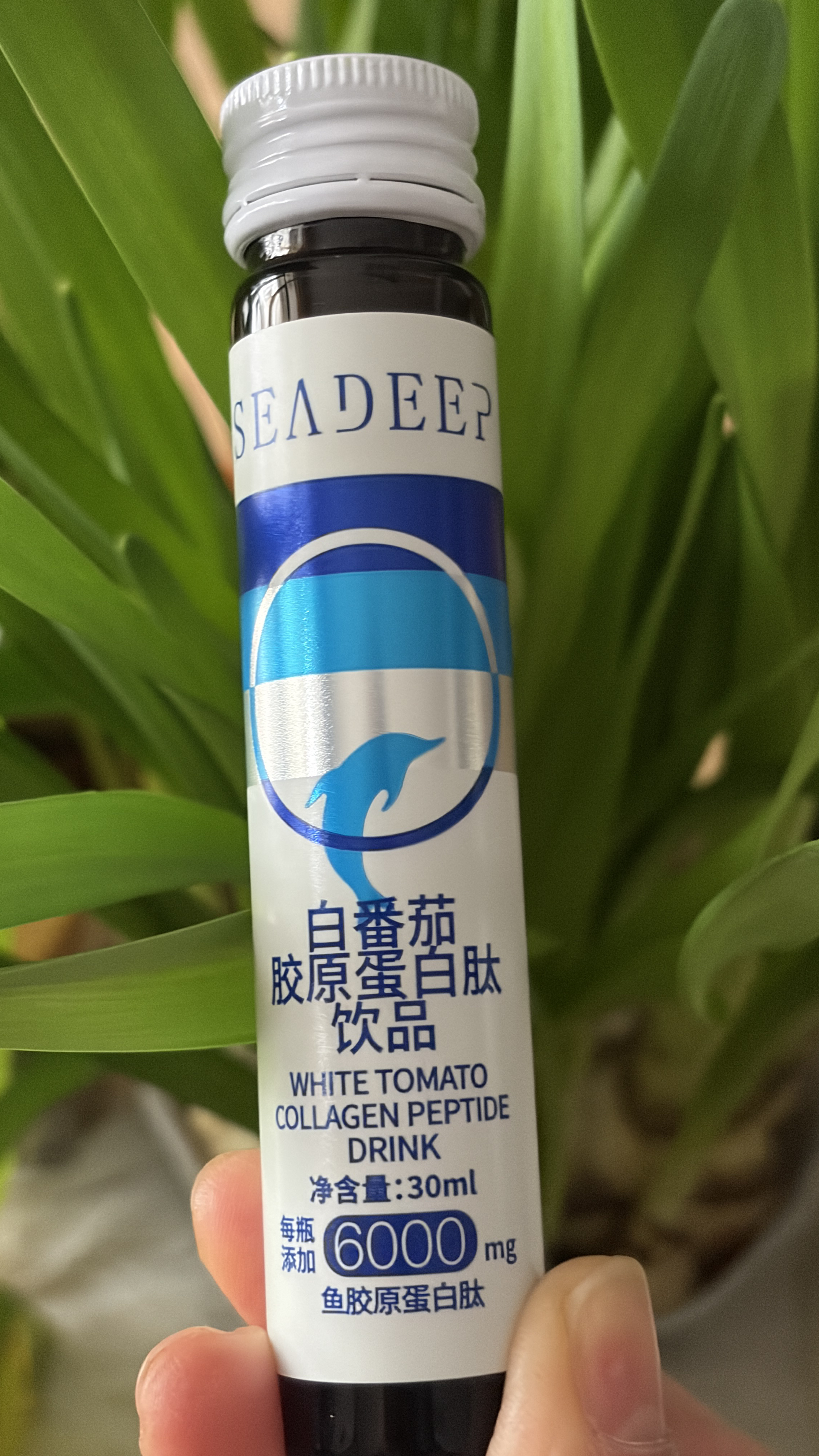 白番茄胶原蛋白饮 深海鲟鱼胶原蛋白肽口服液 胶原蛋白肽饮品