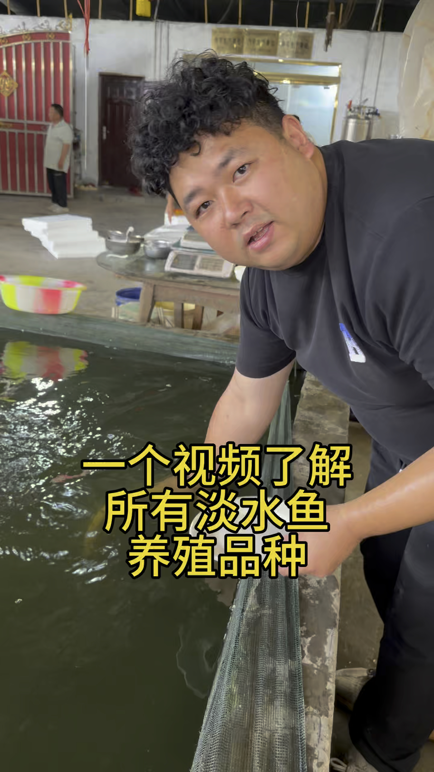 一个视频了解所有淡水鱼养殖品种