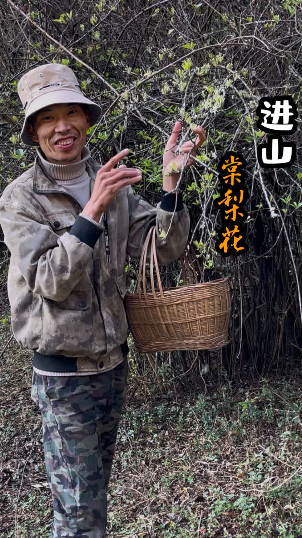 云南大山野花野菜来了,跟随小野进山打棠梨花