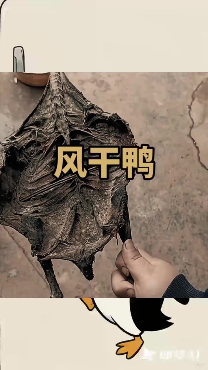 很有年代感的风干鸭子