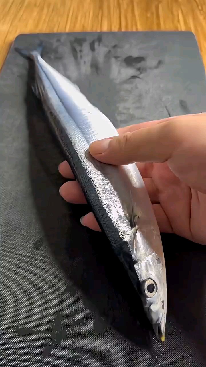 美味炙烤秋刀鱼刺身