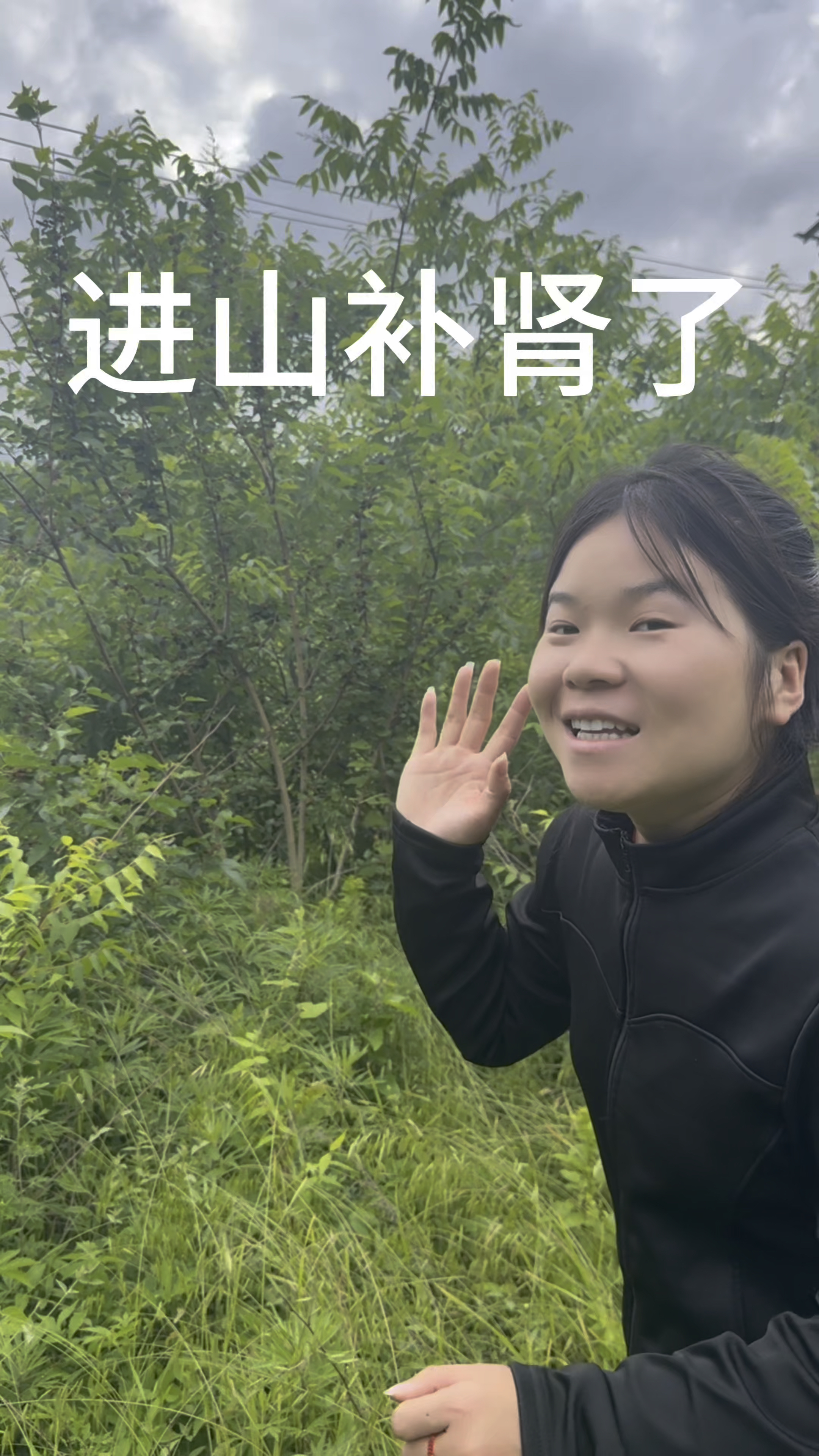 桑葚 进山补肾了