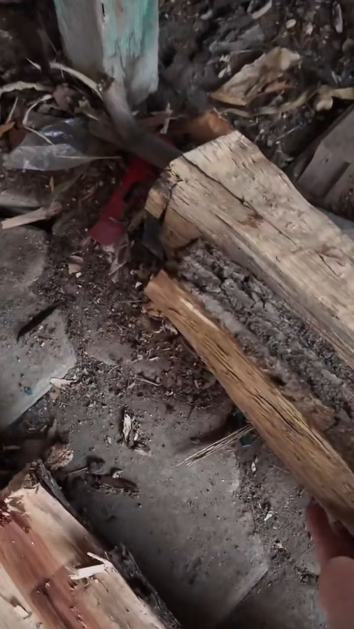 姥姥的爱,就是给大家囤了好多肉,结果吃不了了,哈哈