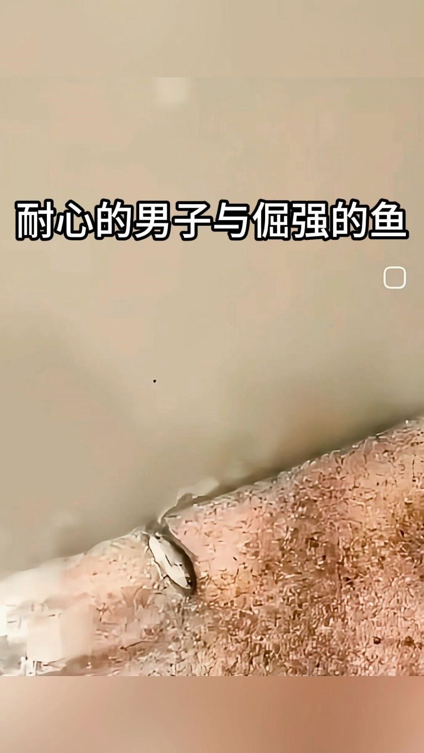 耐心的男子与倔强的鱼