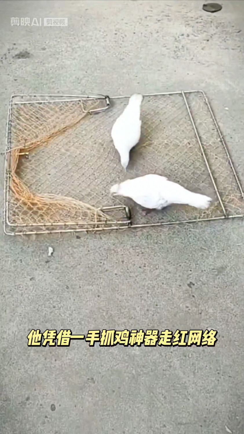 全网卖爆了,户外自动抓鸽子网兜,抓鸽子抓野鸡,效果嘎嘎好