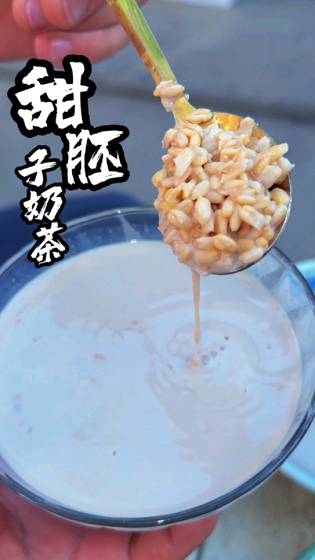 来甘肃必喝的甜胚子奶茶,自己煮的更好喝,难怪奶茶店卖得这么火