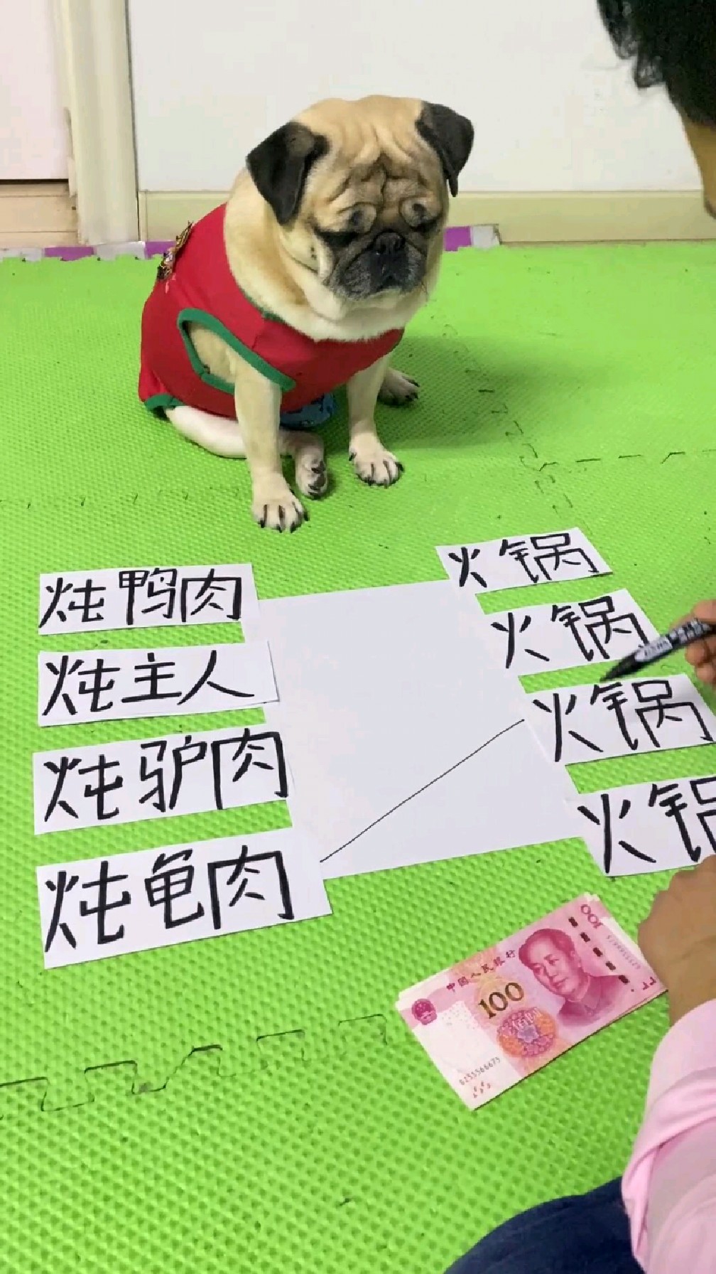 今天别炖我火锅就行