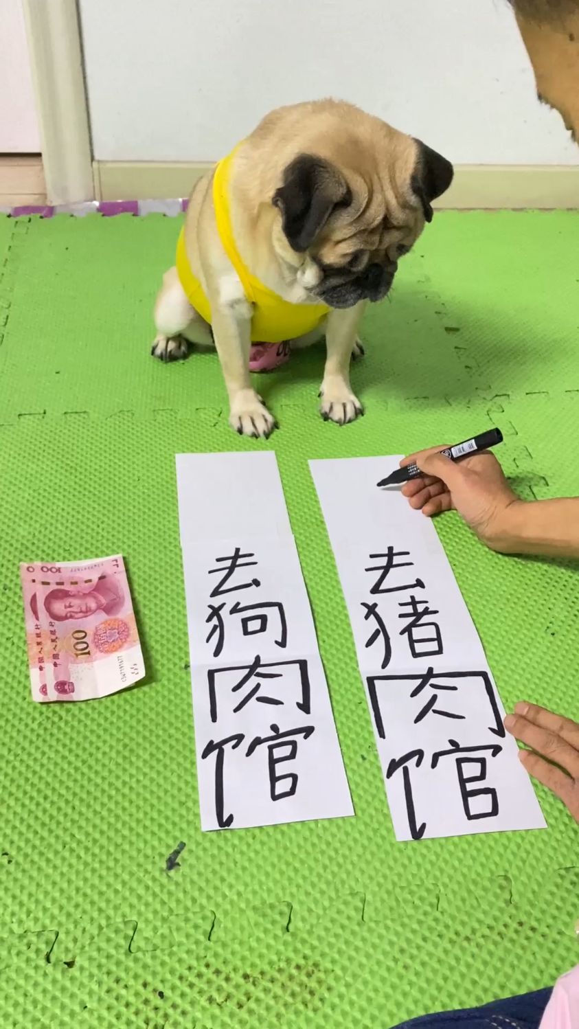 今天吃什么狗肉火锅