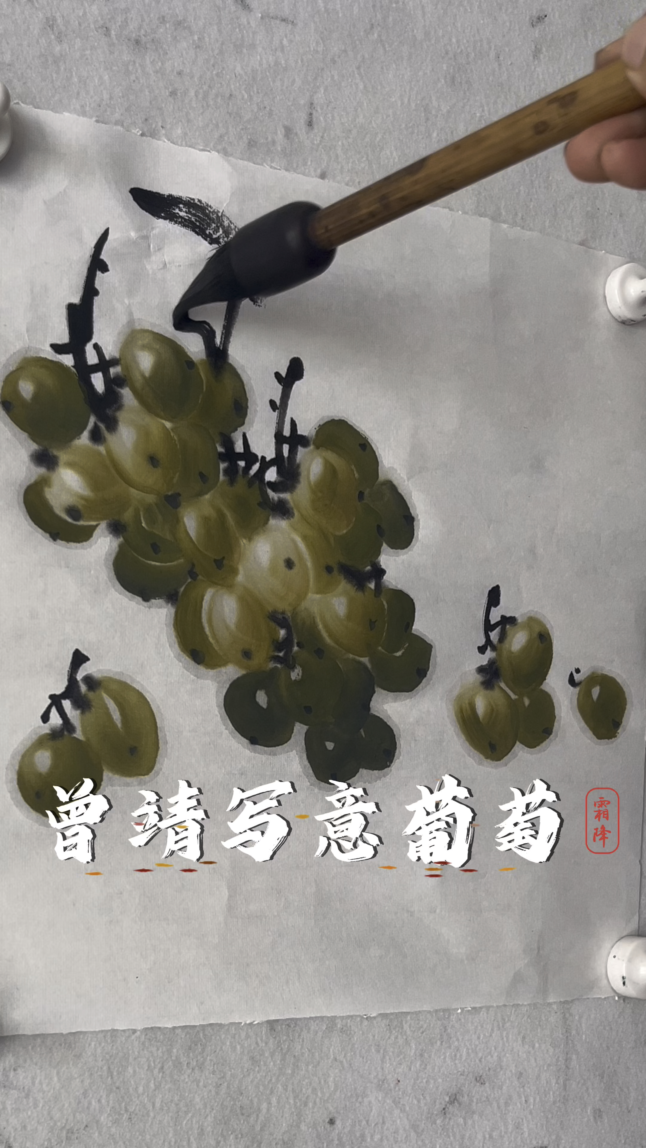 曾靖写意花鸟画国画葡萄技法讲解