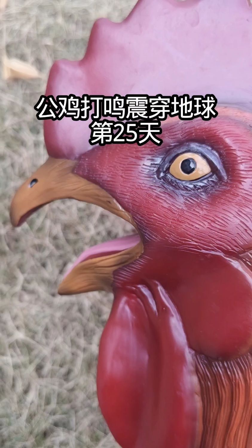 公鸡打鸣震穿地球第25天