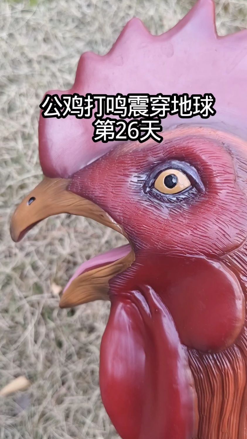 公鸡打鸣震穿地球第26天