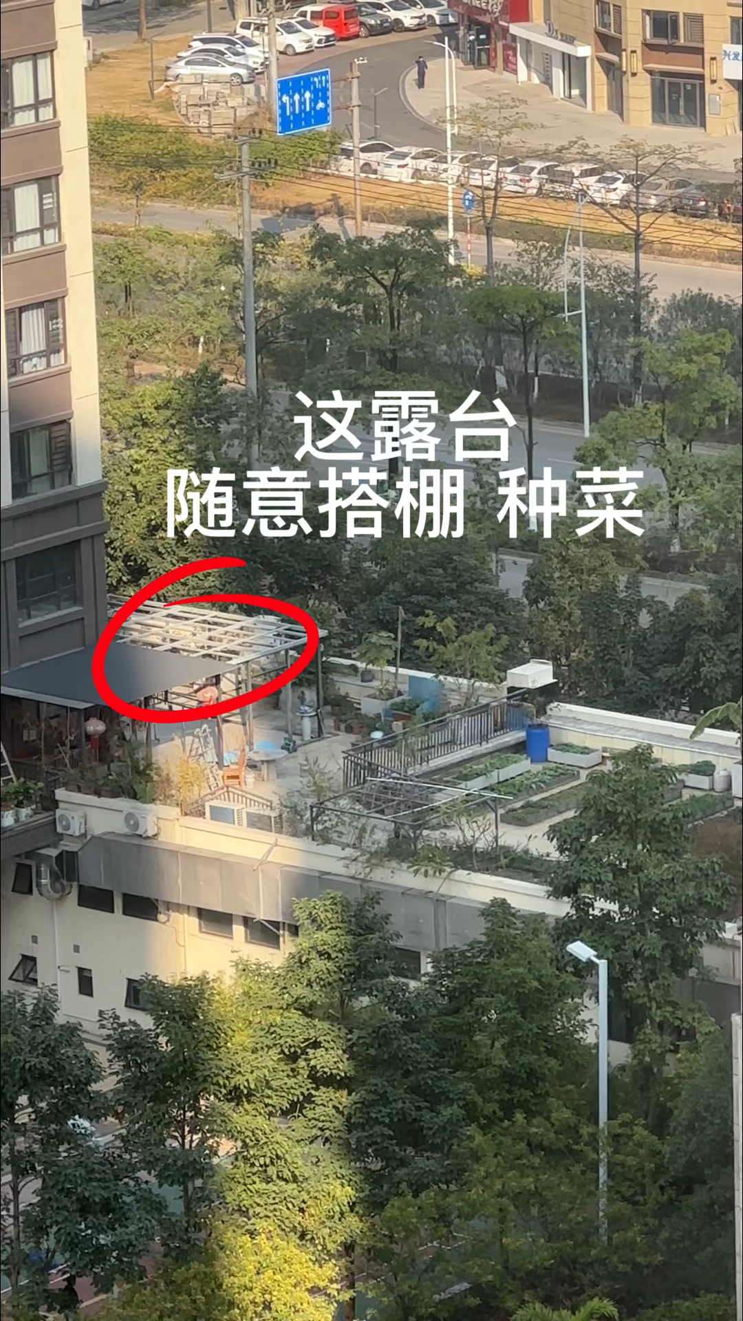 看看吧,这样的大露天阳台搭棚,种菜,羡慕了吗?