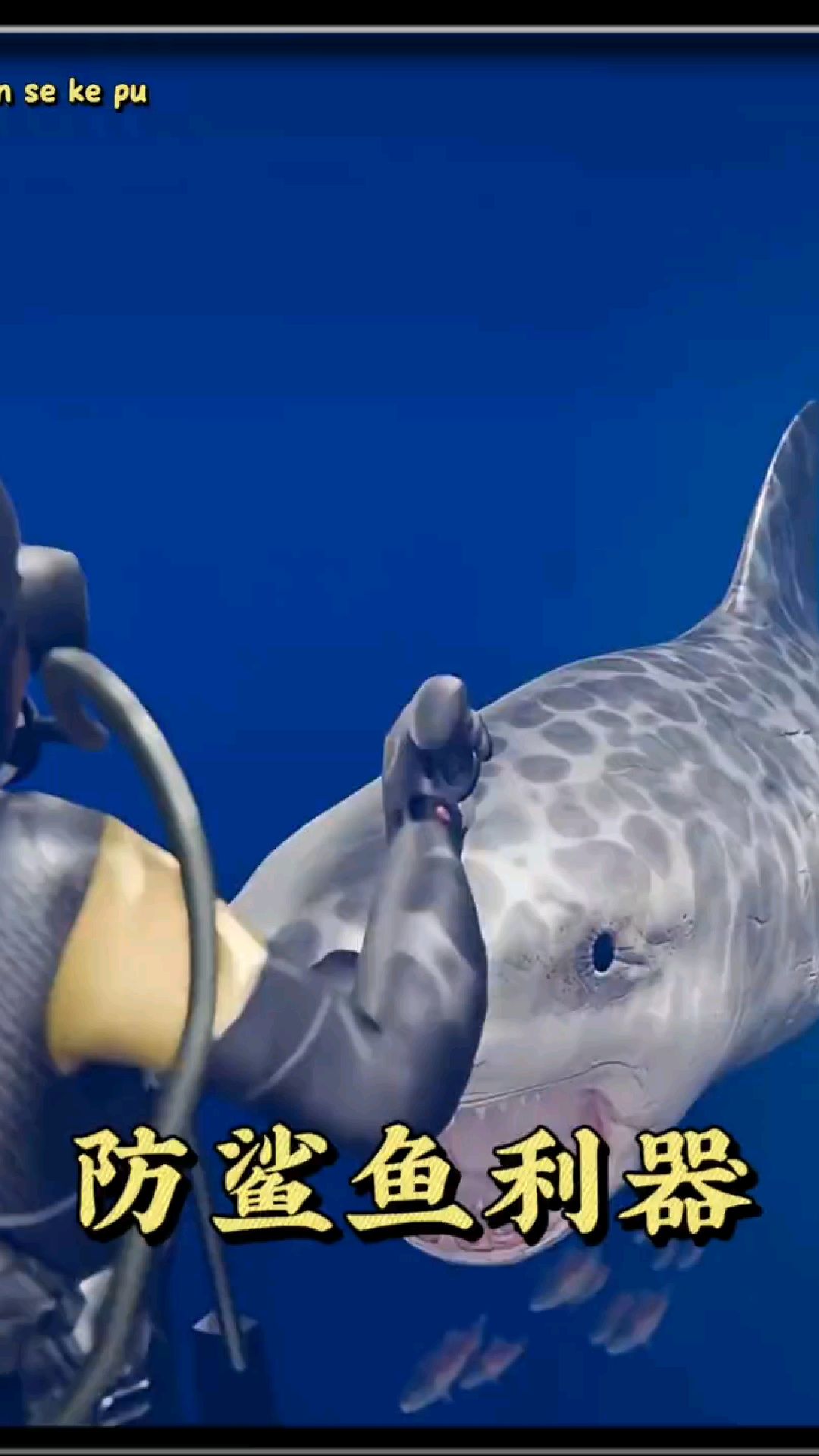 刺中鲨鱼,按下按钮,会发生什么