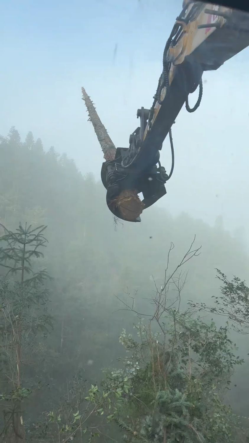 这鱼竿怎么样,能掉多大的鱼啊!