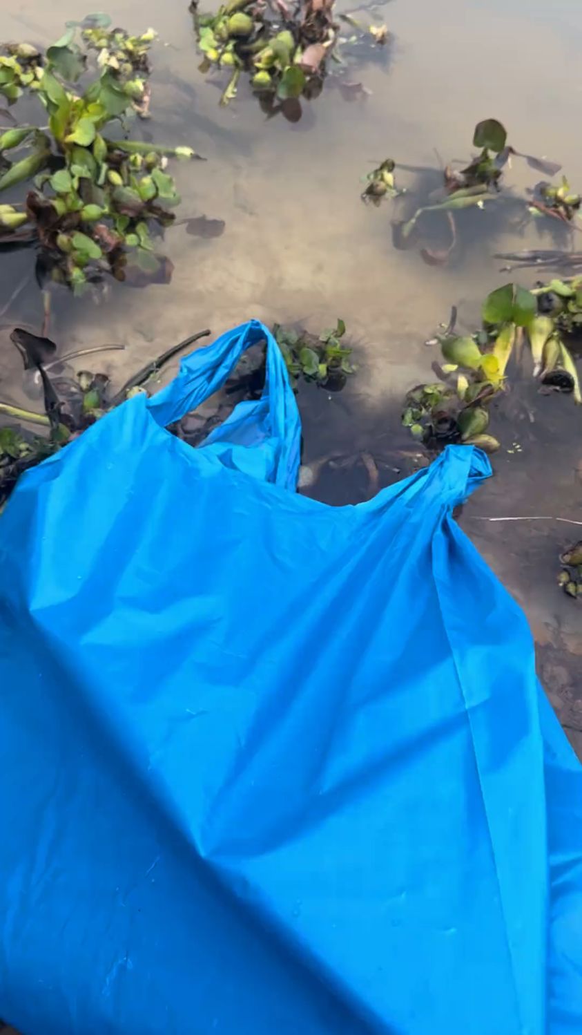 钓鱼人放生了一条大鱼,见者好运!