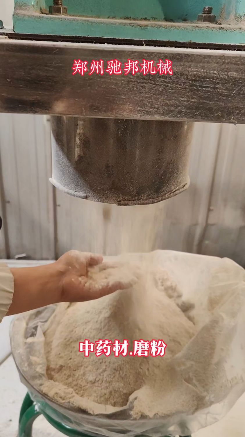 不锈钢中药材磨粉机 白芷粉碎机 不锈钢调料打粉机 万能齿盘磨粉机