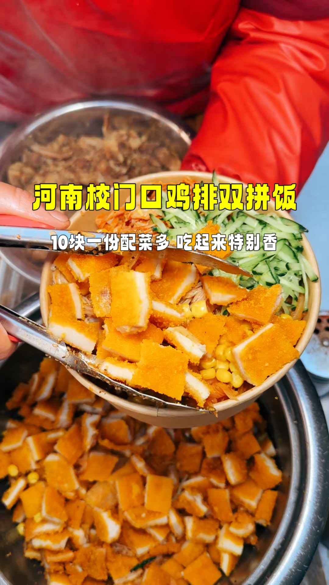 河南街头烤肉鸡排双拼饭,10块一份,份量震惊我一整天