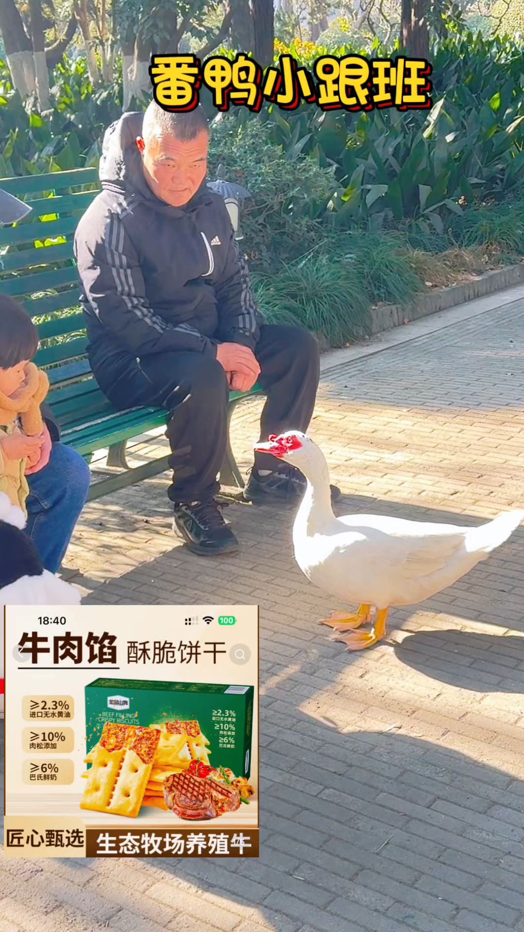 老爷爷的小跟班番鸭