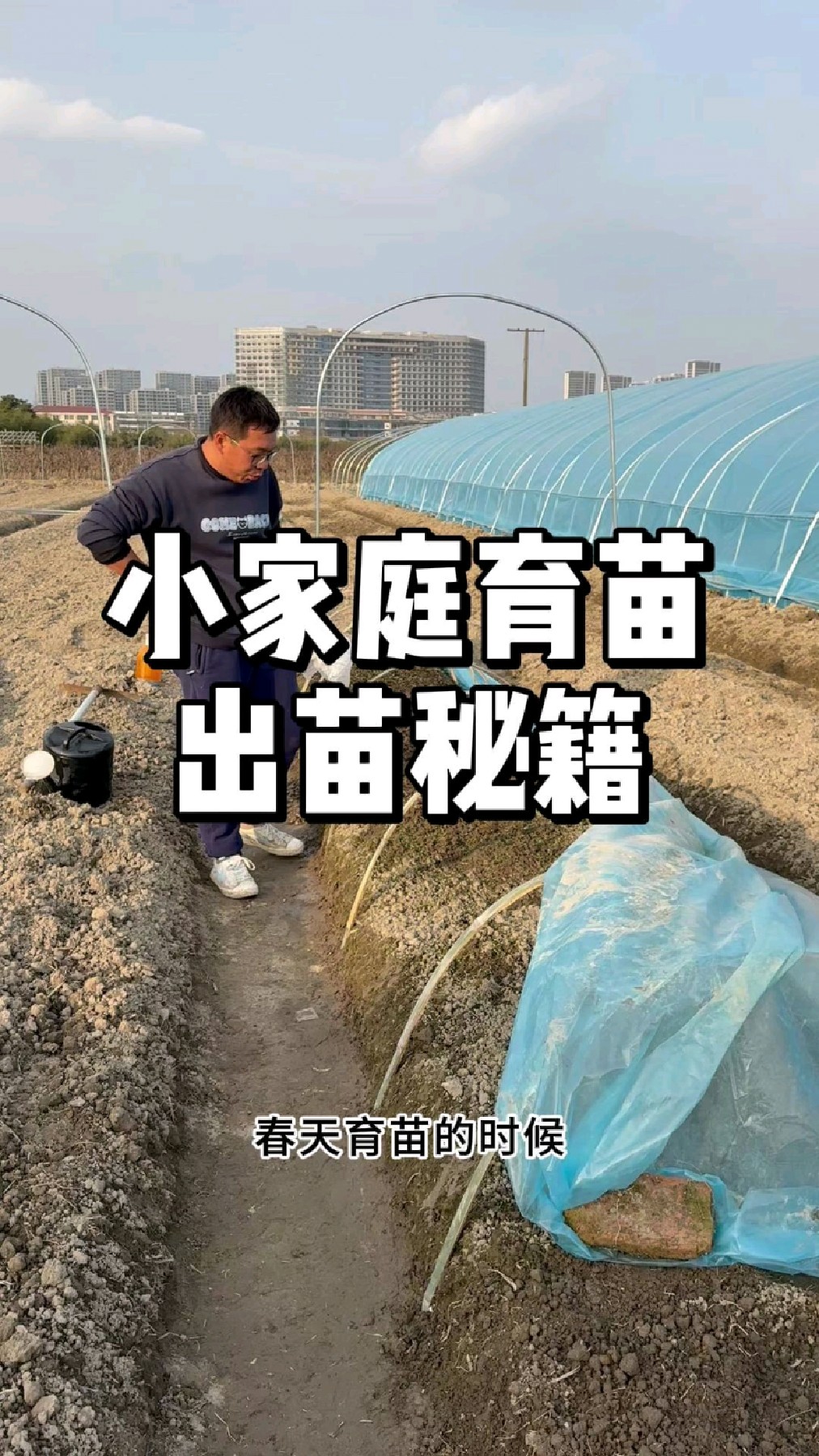 小家庭育苗如何提高种子出苗率,这些细节很重要