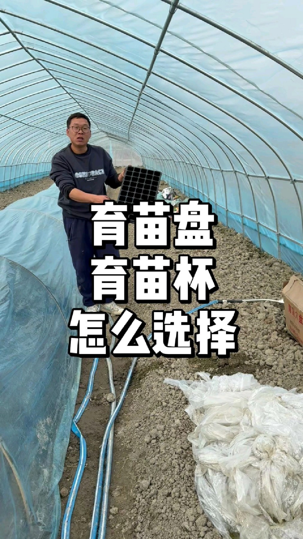 育苗盘和育苗杯哪个适合家庭种植