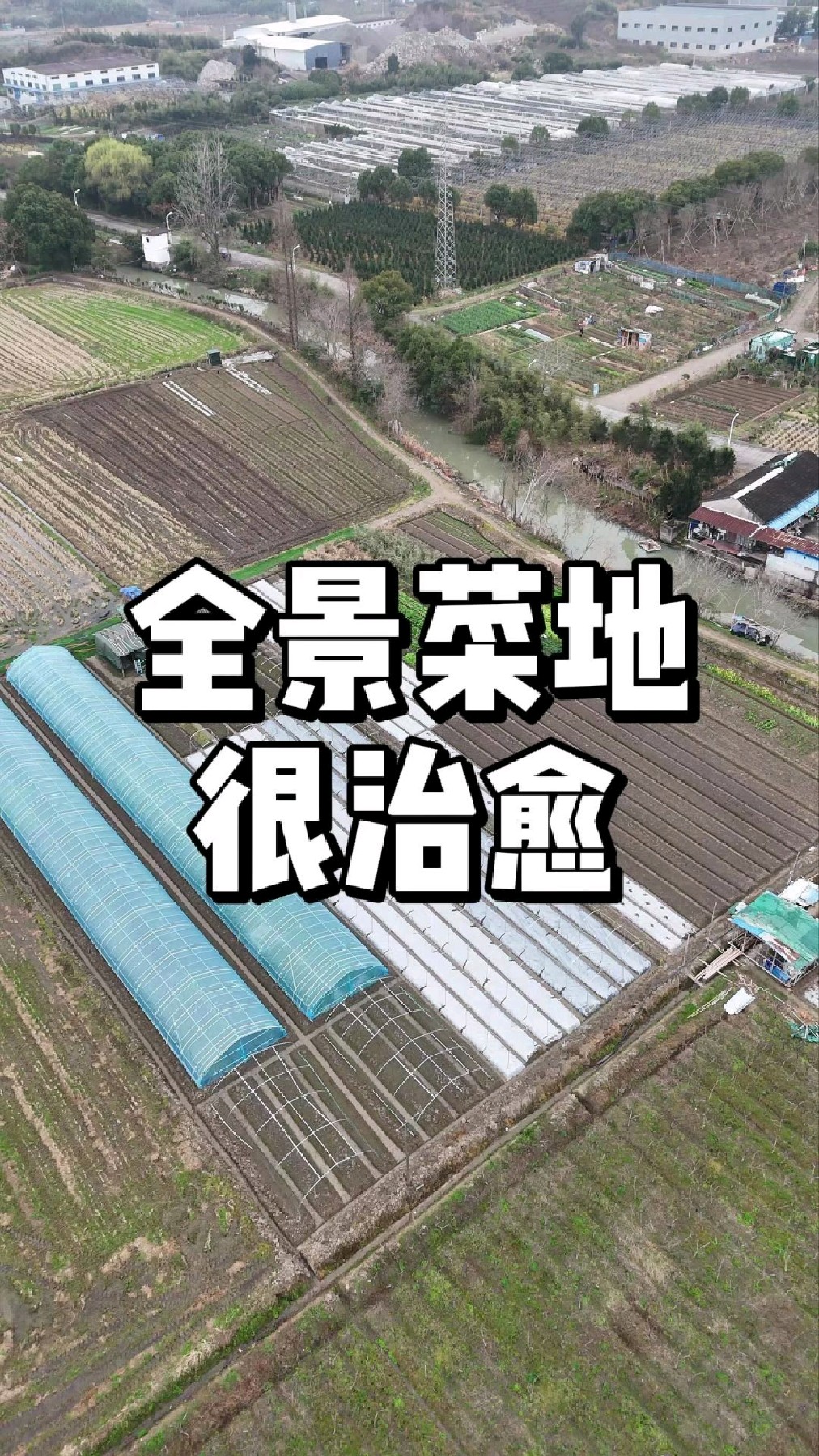 菜地全景欣赏,强迫症看了很治愈