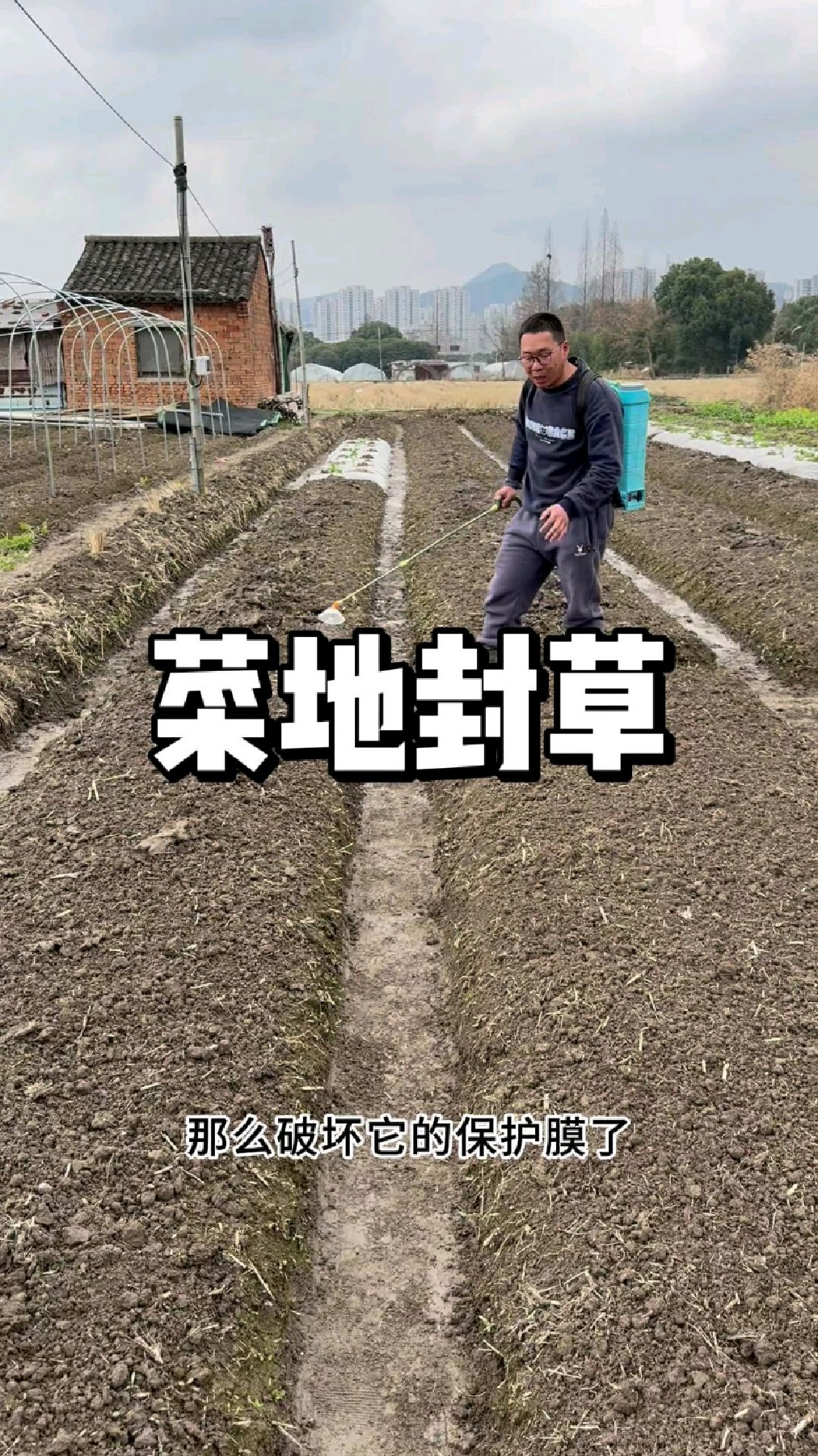 菜地怎么封草,怎么样让草长出来慢一点