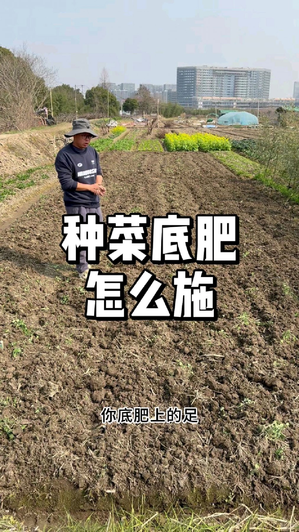 种菜前底肥怎么施,哪些肥料适合做底肥