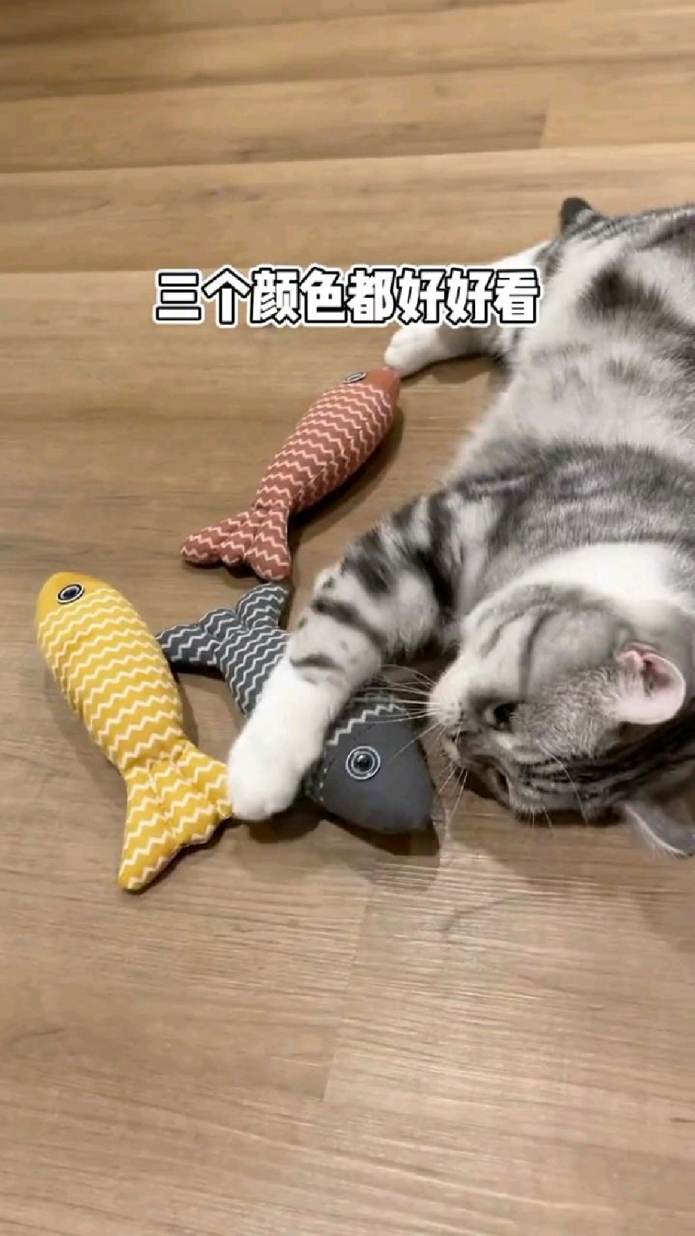 猫薄荷麻布鱼，内含猫薄荷，麻布材质，耐抓耐咬，猫咪爱不释手。