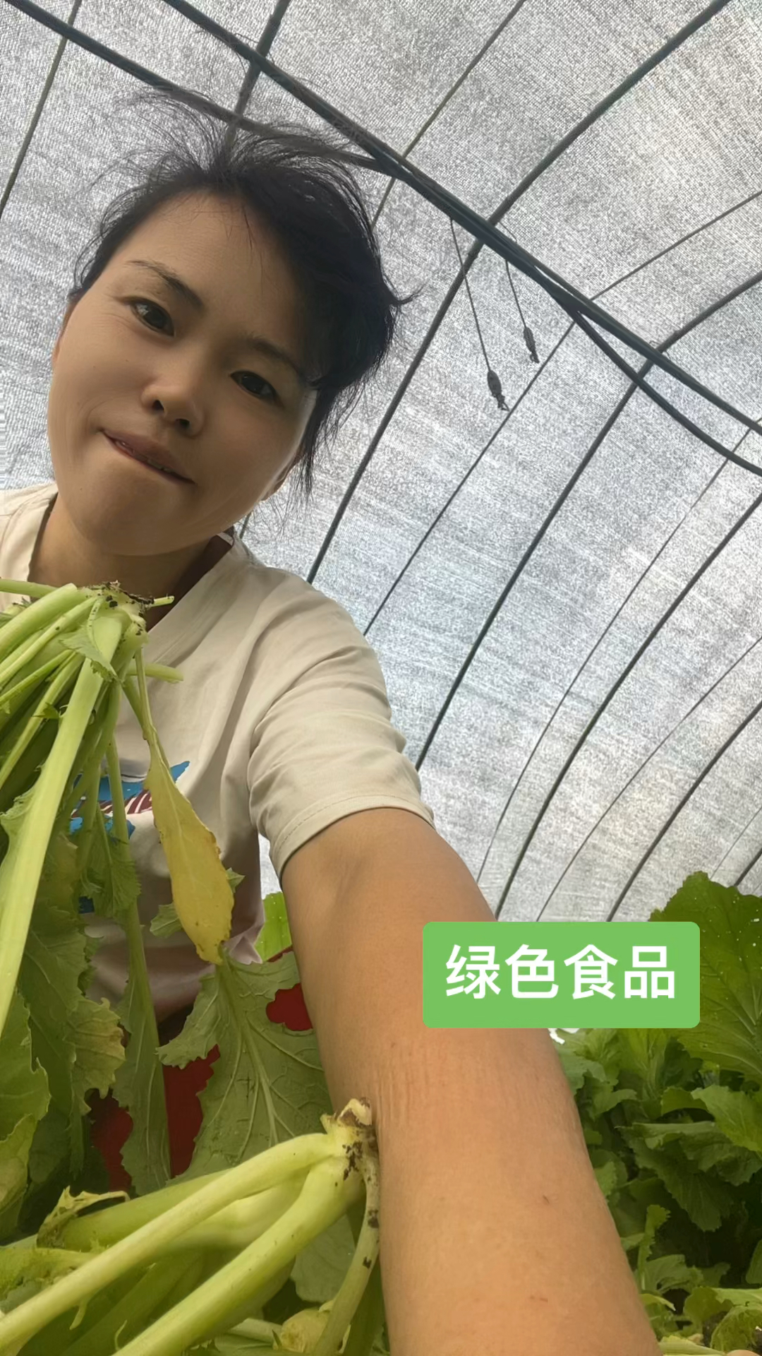 农村散养的土鸡绿色食品。