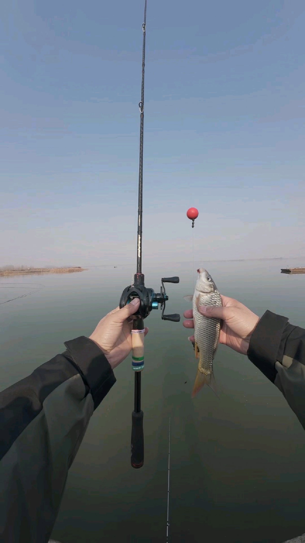冬天封竿太亏了！逗钓配路亚竿远抛，线组简单勤逗看漂，轻松中鱼