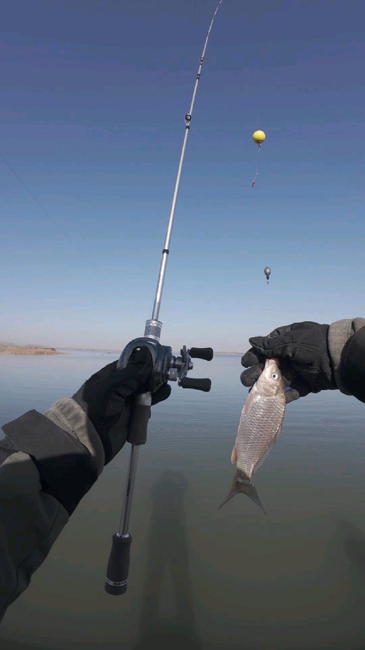 深水鲫鱼轻松擒获！寒冬逗钓技巧，线组简单挂红虫，抛投轻松中鱼