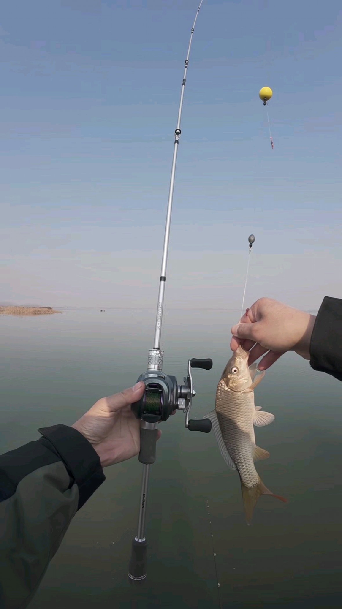 寒冬深水擒鲫秘籍｜球球挑逗法，钩挂红虫配路亚，看漂就中鱼！