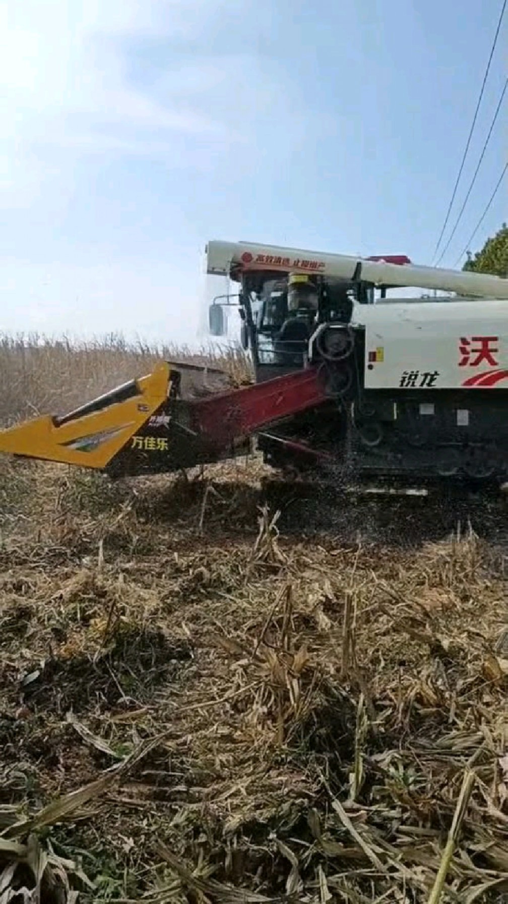 #割台 #玉米割台 #杂粮割台 #多功能杂粮割台
