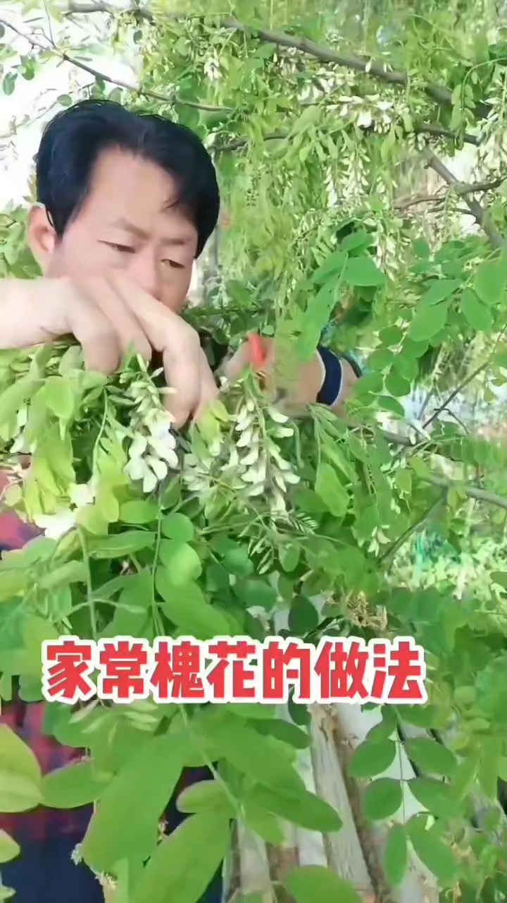 新鲜的槐花菜和汤的做法