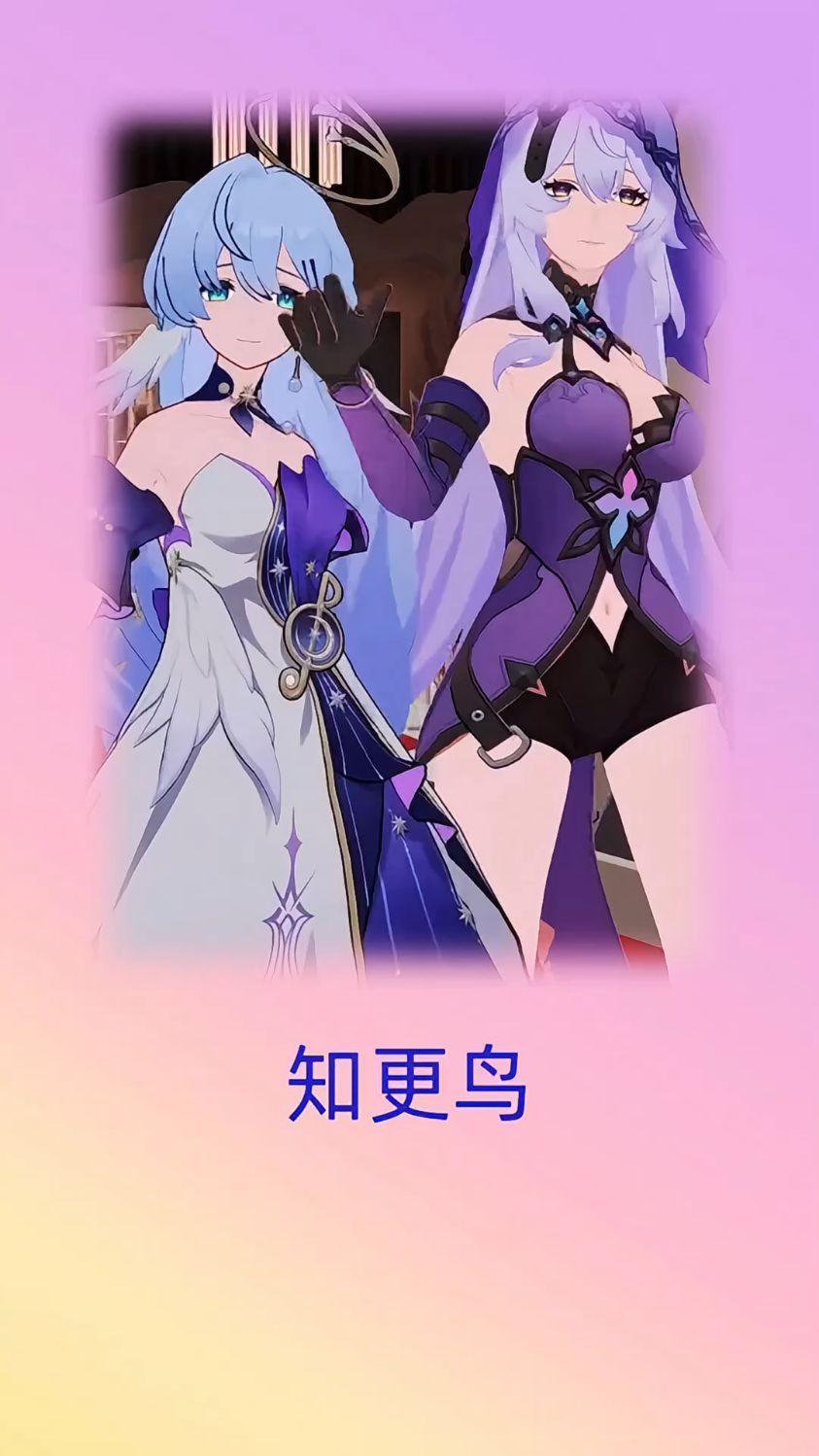 知更鸟和黑天鹅跳舞