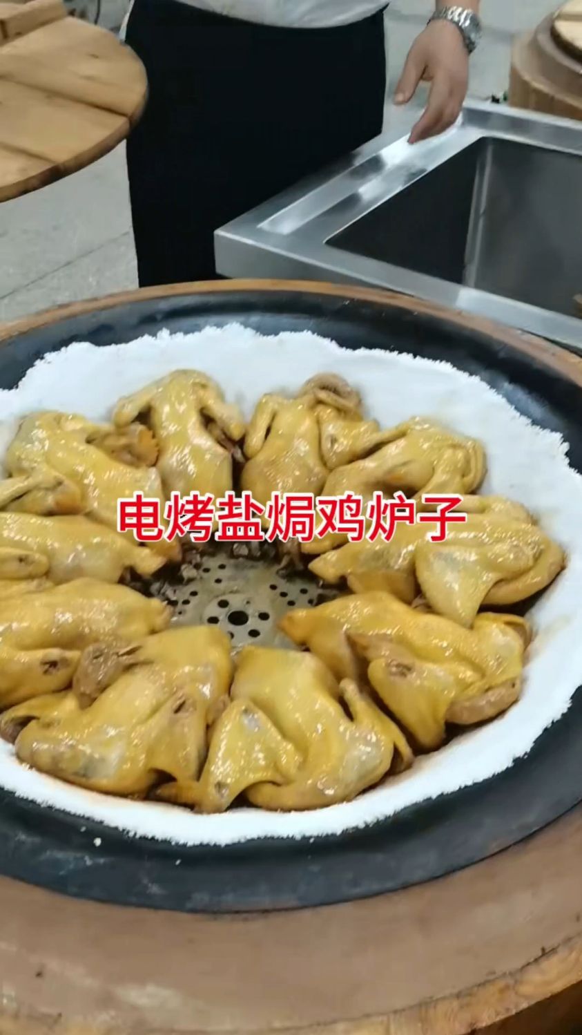电烤盐焗鸡烤炉子