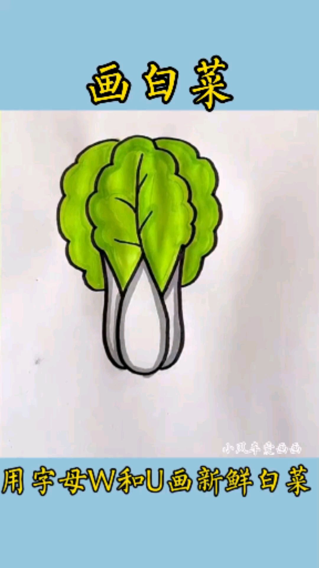 用字母W和U画新鲜的白菜简笔画,一看就会